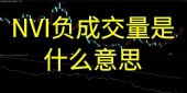 NVI负成交量是什么意思