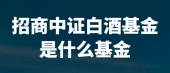 招商中证白酒属于哪类基金？