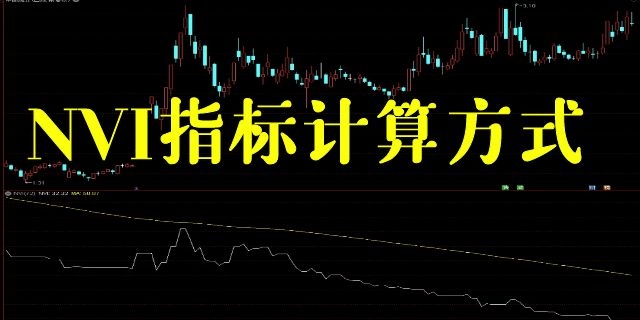 nvi指标计算方式?