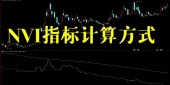 nvi指标计算方式?