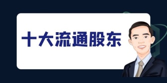十大流通股东