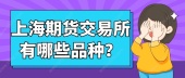 上海期货交易所有哪些品种？