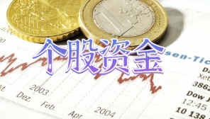 个股资金
