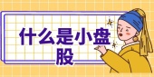什么是小盘股