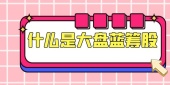 什么是大盘蓝筹股
