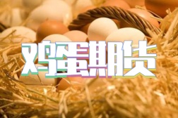 鸡蛋期货