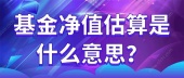 基金净值估算是什么意思？