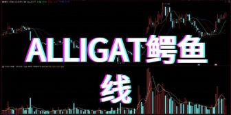 ALLIGAT鳄鱼线