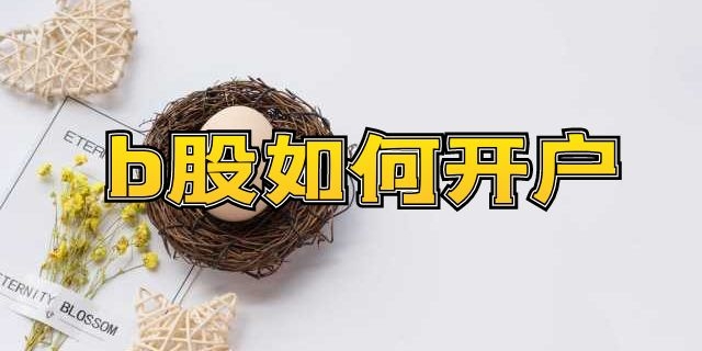 b股如何开户