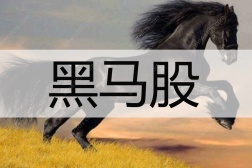 黑马股