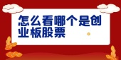 怎么看哪个是创业板股票