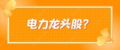 电力龙头股？