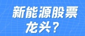 新能源股票龙头？