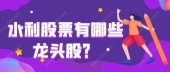 水利股票有哪些龙头股？