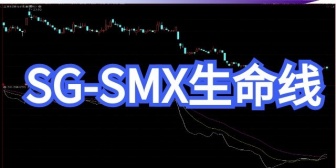 SG-SMX生命线