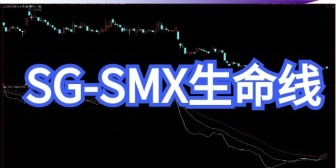  SG-SMX生命线