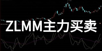 ZLMM主力买卖
