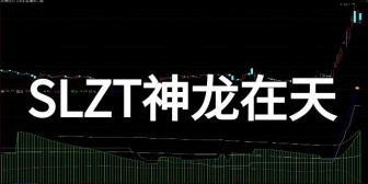 SLZT神龙在天