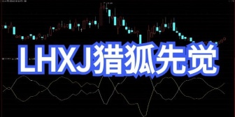 LHXJ猎狐先觉