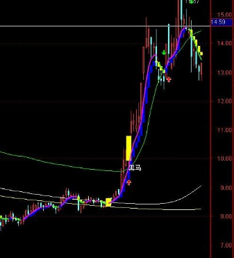 黑马股市指标公式