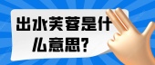 出水芙蓉是什么意思？