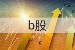 b股