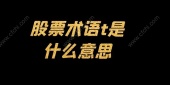 股票术语t是什么意思