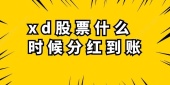 xd股票什么时候分红到账