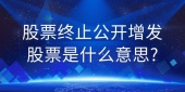 股票终止公开增发股票是什么意思?