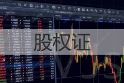 股权证