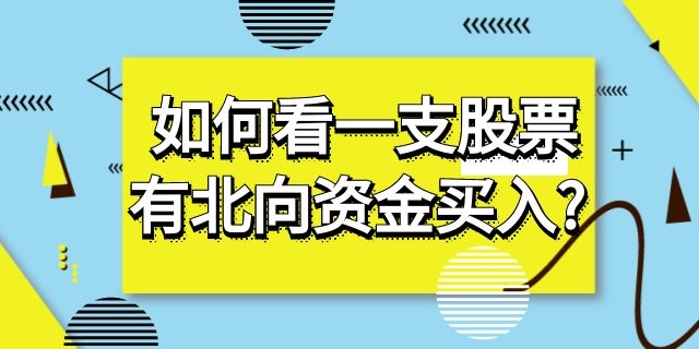  如何看一支股票有北向资金买入?