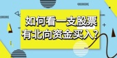  如何看一支股票有北向资金买入?