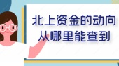 北上资金的动向从哪里能查到