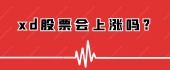 xd股票会上涨吗?