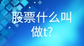 股票什么叫做t?