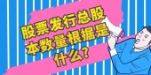 股票发行总股本数量根据是什么?