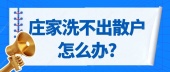 庄家洗不出散户怎么办?