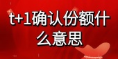 t+1确认份额什么意思