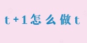 t+1怎么做t