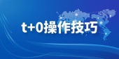 t+0操作技巧