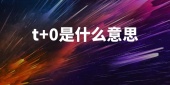t+0是什么意思