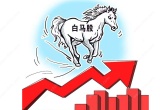 股市里白马股永远是涨的,为什么买白马股的散户却很少?