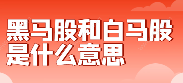 黑马股和白马股是什么意思