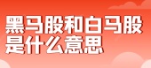 黑马股和白马股是什么意思