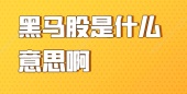 黑马股是什么意思啊