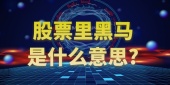 股票里黑马是什么意思?