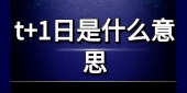 t+1日是什么意思