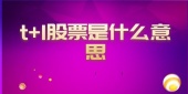 t+1股票是什么意思