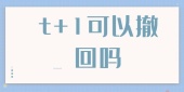t+1可以撤回吗