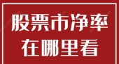 股票市净率在哪里看